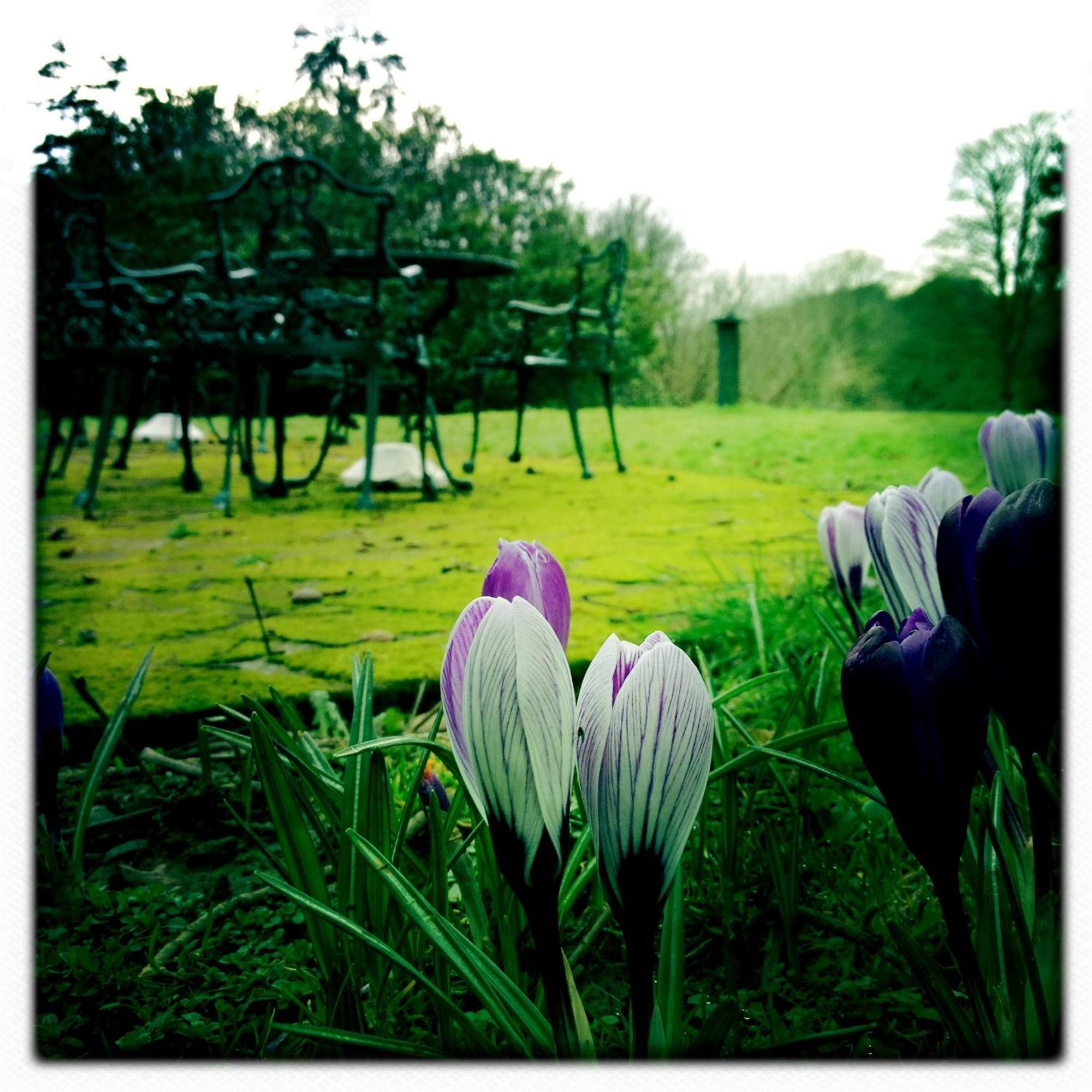 The Lake Country House Hotel & Spa Llangammarch Wells Екстериор снимка